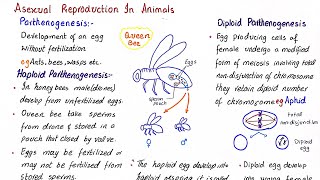 Parthenogenesis  Haploid parthenogenesis  Diploid parthenogenesis  class 12 [upl. by Stevena]