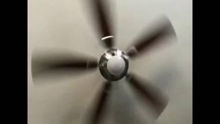 Spinning Fan [upl. by Boudreaux]