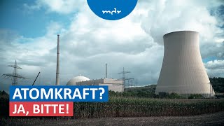 Warum manche Länder wieder auf Kernenergie setzen  Umschau  MDR [upl. by Kirtap577]