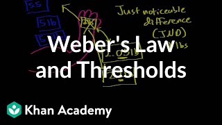 Webers law and thresholds  Processing the Environment  MCAT  Khan Academy [upl. by Merow]