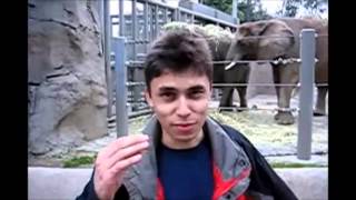 First YouTube Video  Me at the zoo By Jawed Karim  YouTube CoFounder [upl. by Hubie140]