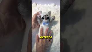 ¡Es el mejor juguete para gatos hecho de espuma adhesiva shorts [upl. by Corrine]