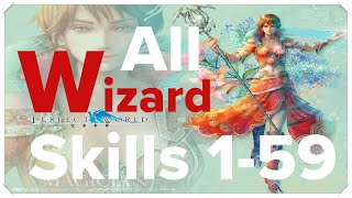 Perfect World International  All Wizard skills 159 [upl. by Aiyot]