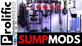 RED SEA REEFER 350 SUMP MODIFICATIONS TO GROW CHAETO [upl. by Michail]