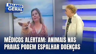 Destaque Cacau Menezes animais nas praias podem espalhar doenças [upl. by Aihsekel591]