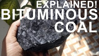 How coal is formed  Practically demonstration [upl. by Aikkan674]