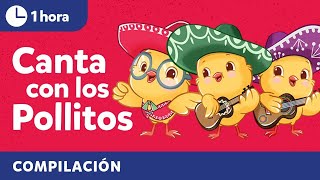 Sing with Los Pollitos  Bilingual Kids Songs in Spanish amp English  Cultural Traditions [upl. by Shirl]