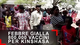 Febbre gialla Vaccinare 800000 persone a Kinshasa [upl. by Enetsuj]