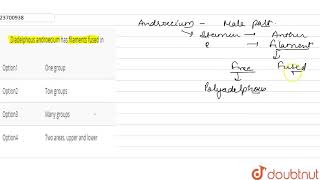 Diadelphous androecium has filaments fused in [upl. by Anitnatsnoc803]