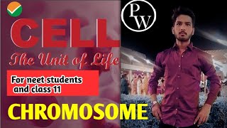 L  27  Cell The Unit Of Life  NEET 2025  Class 11 neet2025botany chromosome chromatin [upl. by Seedman]