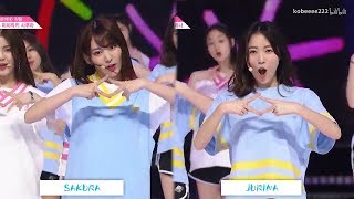 Miyawaki Sakura amp Matsui Jurina Dance Comparison PRODUCE48 NEKKOYA 宮脇咲良 松井珠理奈 IZONE [upl. by Brunk]