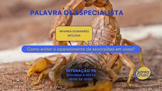 Como evitar o aparecimento de escorpiões em casa – Palavra de Especialista T2 Ep183 [upl. by Wengert885]