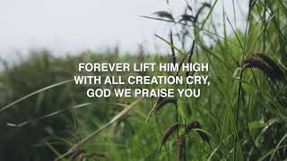 We Praise You  Maranatha Music Lyric Video [upl. by Elyssa981]