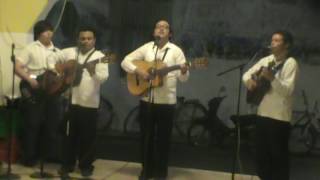 Aires del mayab  Trio Presentimiento [upl. by Marou]