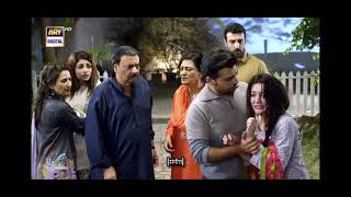 episode 11 mere hamsafar hala love hamza pakistani drama [upl. by Ahsenit]