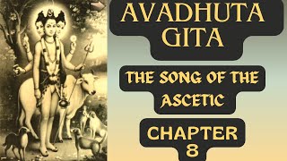 Avadhuta Gita Chapter 8 quotThe Song of the Asceticquot Read by AkshĀnanda enlightenment mindfulness [upl. by Shaper]