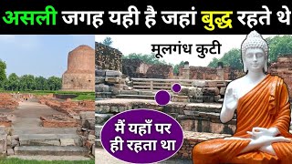 यहीं रहते थे बुद्ध  Mulagandha Kuti Vihar Sarnath  Untold History of Buddha  Saman Culture [upl. by Connors]