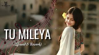 Tu Mileya  Darshan Raval  Slow ampReverb   New Lofi Song 2024 [upl. by Laenaj]