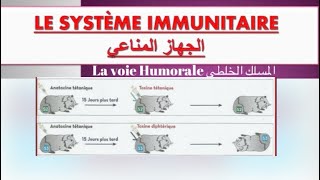 Le système immunitaire ملخص درس  réponse immunitaire spécifique à voie humorale [upl. by Recha]