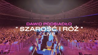 Dawid Podsiadło  Szarość i Róż Chorzów 25062022 [upl. by Nester]