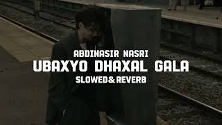 Ubaxyo Dhaxal Gala  slowedreverb  Abdinasir Nasri [upl. by Yttocs344]