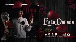 Ivan Cornejo  Está Dañada Audio Oficial [upl. by Remle]