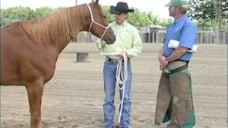 On The Road Downunder Horsemanship Treating Hoof Abscesses And Other Hoof Issues Part 3 [upl. by Perice]