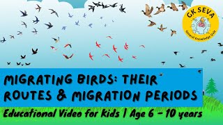 Amazing Migrating Birds Discover Their Routes and Migration Periods  Educational Video for Kids [upl. by Settera]