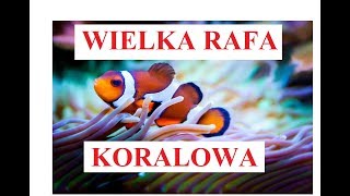 WIELKA RAFA KORALOWA  krótki opis [upl. by Hitoshi]