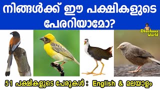 51 Birds Names in Malayalam 51 പക്ഷികളുടെ പേരുകൾ മലയാളത്തിൽ LearnBirds birdsmalayalam pakshikal [upl. by Hirst]