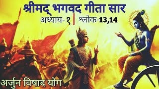 श्रीमद् भगवद गीता  अध्याय १  Bhagavad Gita Chapter 1  Shloka 1314  Bhagvad Gyan [upl. by Pettifer]