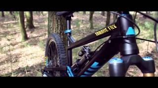 Canyon Torque FRX 80 2013 [upl. by Prinz6]