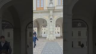 Людвигсбургская резиденцияResidenzschloss Ludwigsburg travel deutschland germany ludwigsburg [upl. by Winwaloe]