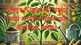 Tamatar Ke Paudhon Mein Phool Aur Fal Ki Badhotri Kaise Karein  Expert Tipsquot [upl. by Elliven896]