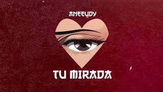 Aneeudy  Tu Mirada Video Cover [upl. by Kellia]