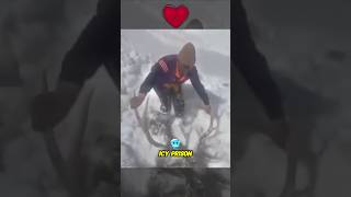 Soldier Rescue Life of Frozen Deer 😱 [upl. by Lili]