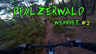 Pfälzerwald Trails im geilsten Wald Deutschlands Part 2 [upl. by Nahtannoj]