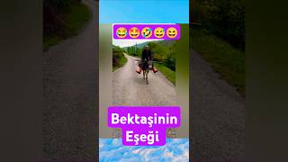 Bektaşinin Eşeğifıkra😂🤩🤣😅😆 komikvideolar eğlencelivideolar [upl. by Veradia]