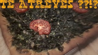 🍕 Coca de 🥬VERDURAS 🥦receta MALLORQUINA fácil y rápida [upl. by Arim]