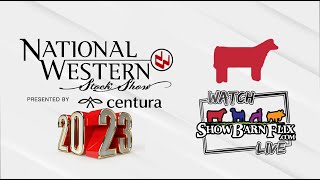 National Shorthorn Open Show  NWSS 2023 [upl. by Penthea]