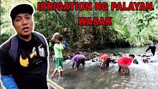 Irrigation Ng Palayan nawasak ng baha Pagsasaayos Bayanihan ng mga farmers [upl. by Isidro]