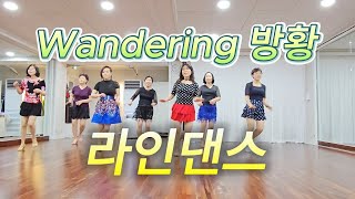 wandering방황 Remix by 구창모 l 라인댄스 l 초급 l Linedance l Beginner [upl. by Karney]