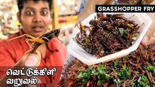 Eating INSECTS for the First Time LOCUSTS Grasshopper fry in Thailand [upl. by Edwin492]