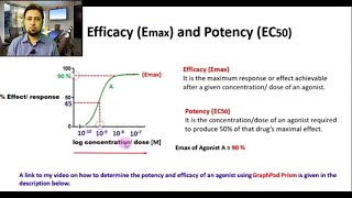 Efficacy  Potency  Junaid Asghar PhD [upl. by Aivatnuhs]