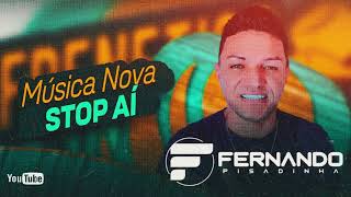 FERNANDO PISADINHA  MÚSICAS NOVAS 2K24 [upl. by Leima]