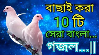 বাছাইকরা ১০ টি সেরা বাংলা গজল  ইসলামিক গজল শান্তির বাণী EarningWallah gojol [upl. by Ravel]