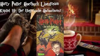 Harry Potter und der Feuerkelch LIVESTREAM Deutsch 7 podcast Harry Potter Hörbuch zum Einschlafen [upl. by Amlez600]