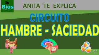 Circuito hambresaciedad [upl. by Anerac]