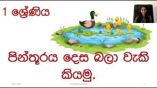 Grade 1 Sinhala Pinthurayak Bala Waki Kiyamu  පින්තුරයක් බලා වැකි කියමු  Denuka Teacher [upl. by Aremaj620]