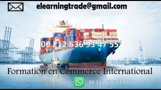 Formation en ligne Techniques dimport export [upl. by Annairt]